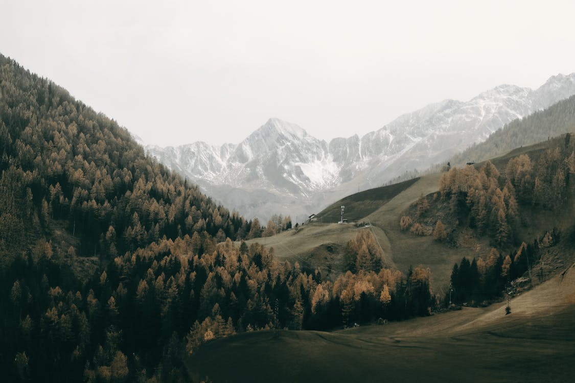 Stk Design Library Image 2